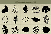 Botanical Vibes: 120 Floral Elements, an Object Illustration by Sheikhadesign (Thumbnail 10 of 15)