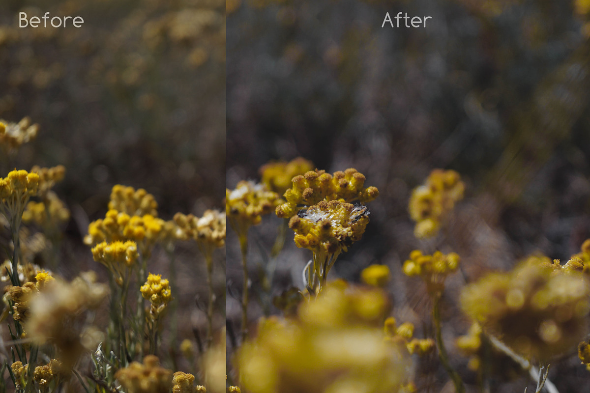 Pro Lightroom Presets Bundle vol. 1 preview 5