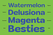 30% OFF! Flatface Briska, a Sans Serif Font by Flatface (Thumbnail 10 of 14)
