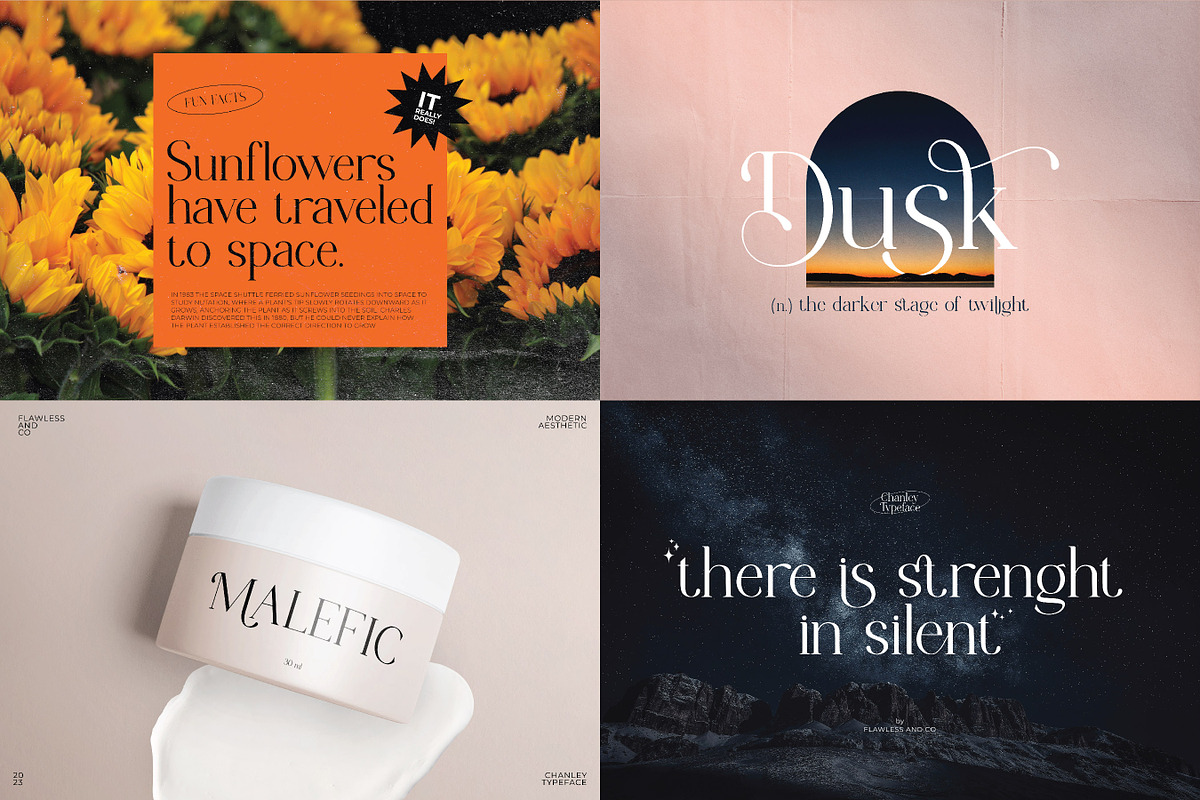 Modern Serif & Sans Serif Bundle, a Serif Font by Flawless And Co (Photo 3 of 12)