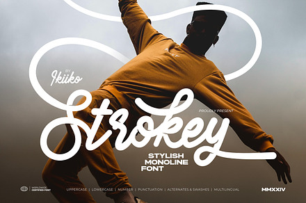 Strokey - Stylish Monoline Font, a Script Font by ikiiko