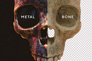 Skulls: 108 Skull Images, an Object Graphic by RuleByArt (Thumbnail 4 of 16)