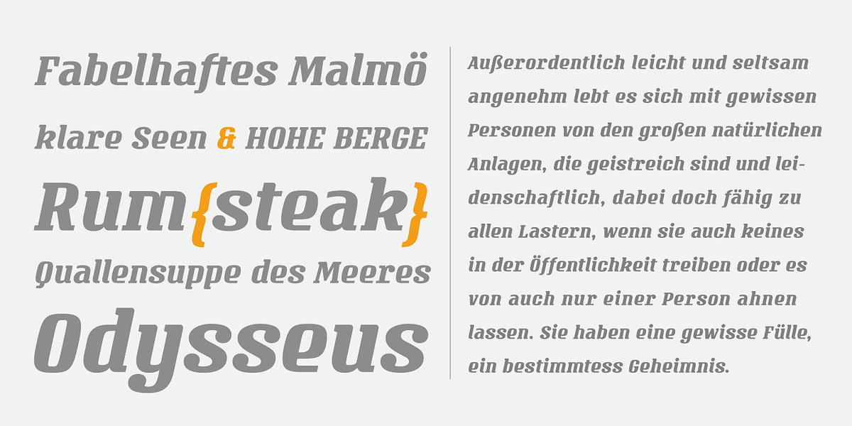 Vivala Milk, a Slab Serif Font by VivalaType (Photo 4 of 5)