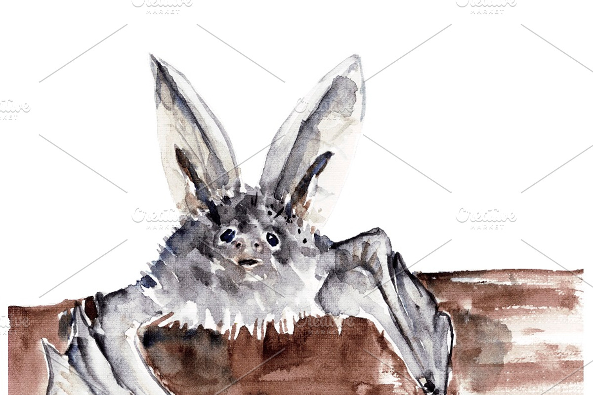 Vampire bats, watercolor/ink/vector, an Animal Illustration by Watercolor_Vector Graphic (Photo 3 of 22)