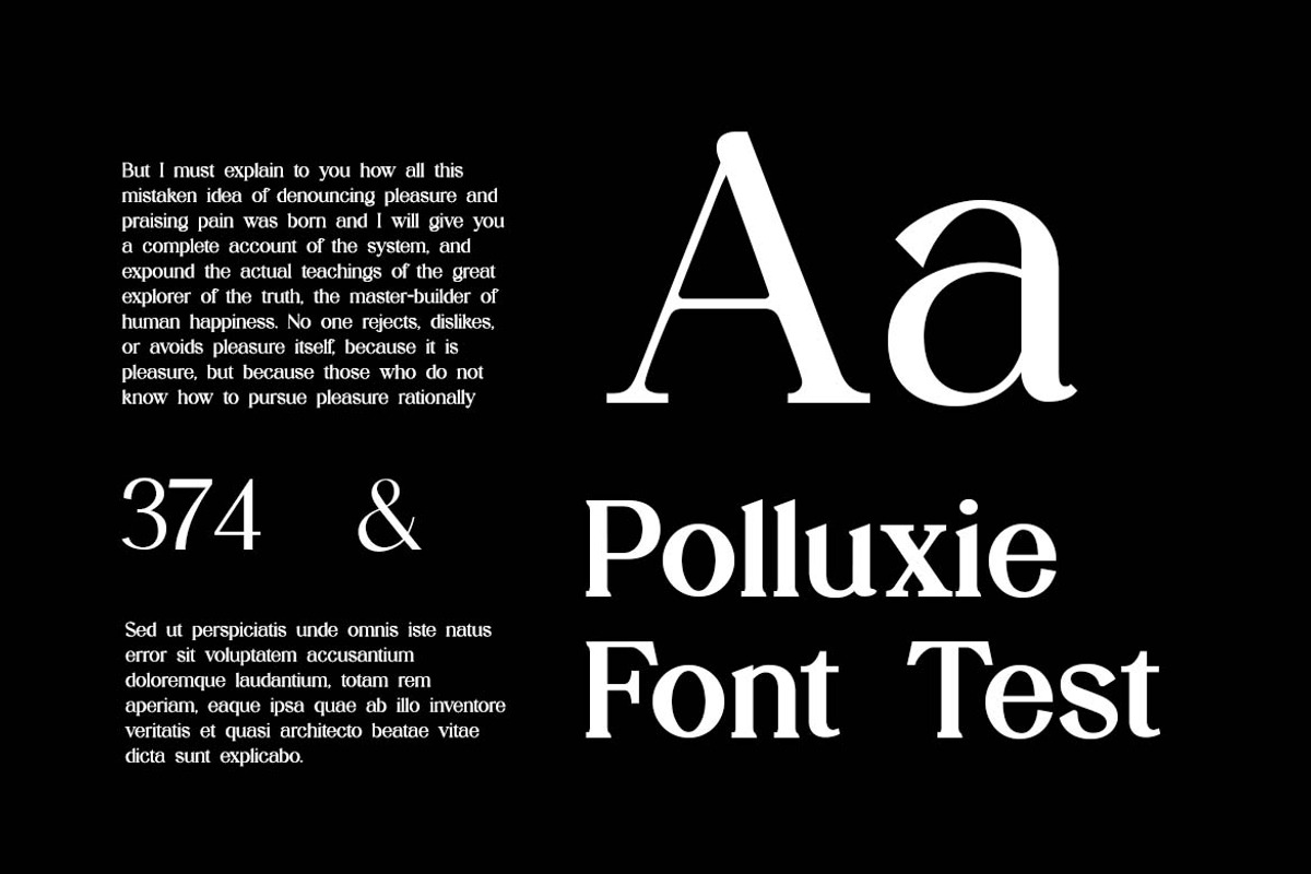 Stylebooks Typeface Serif Font, a Serif Font by UICreative (Photo 10 of 13)
