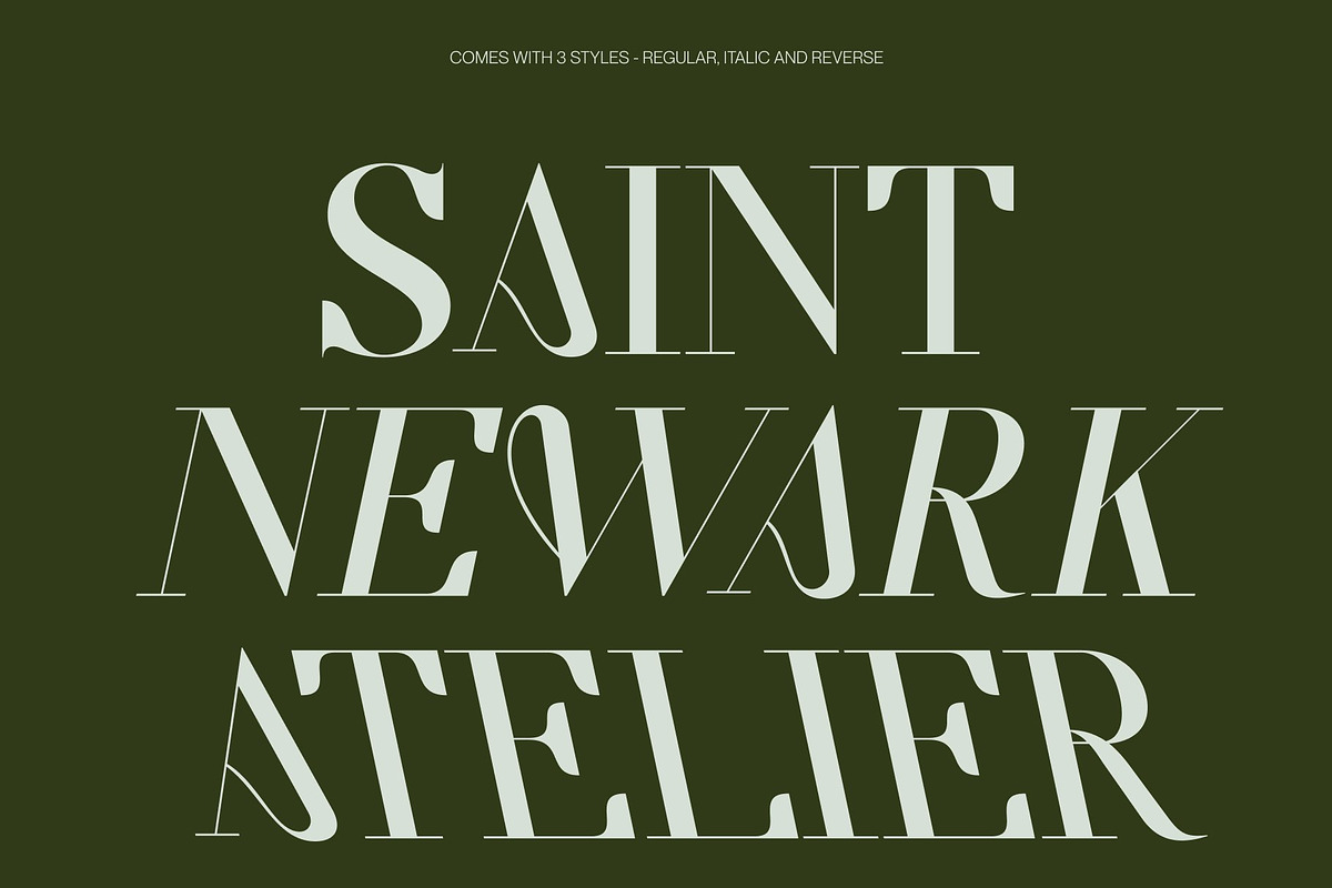 CS Salsa – Elegant Serif Font, a Serif Font by Craft Supply Co. (Photo 6 of 8)