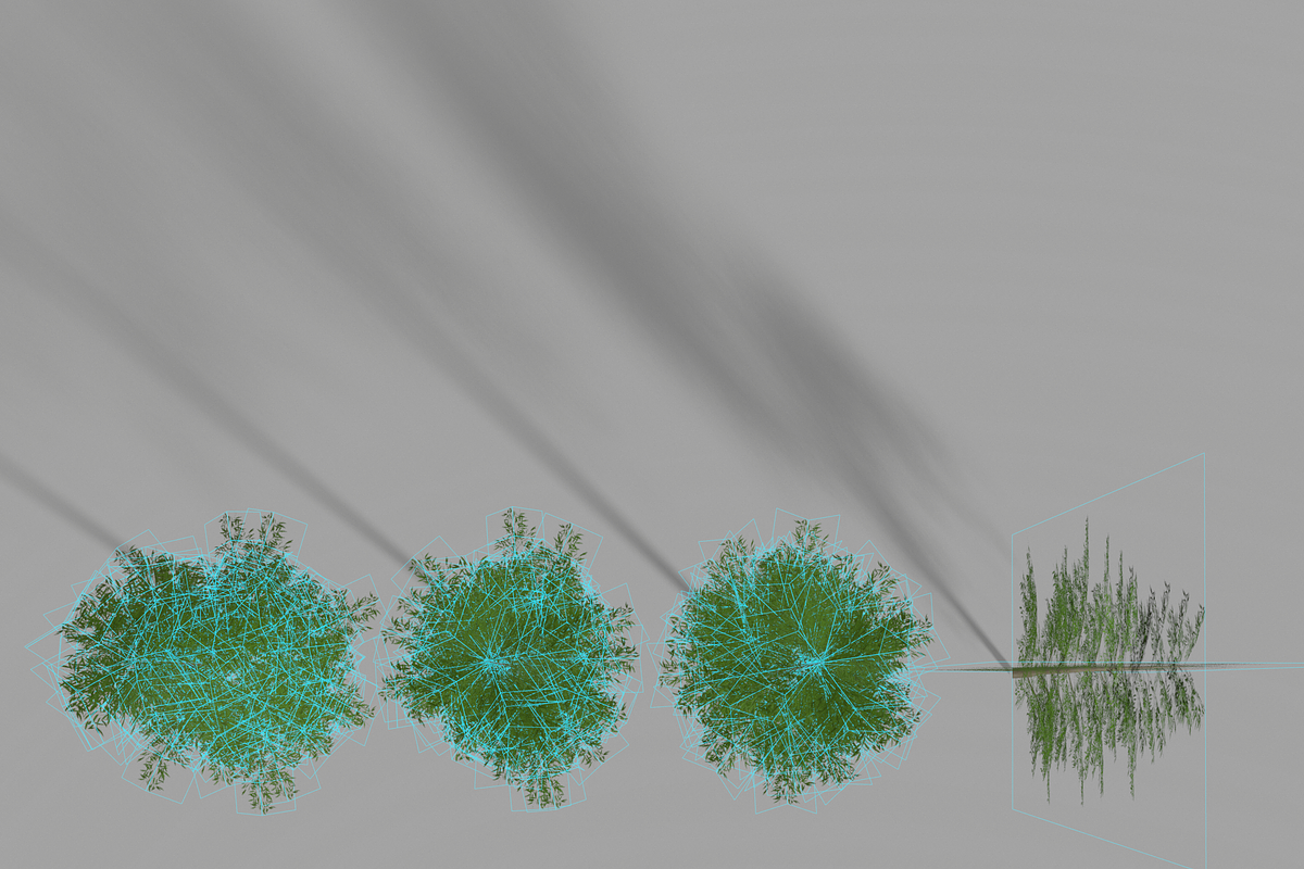 Eucalyptus tree #1, an Environmental 3D Model by AndrewWhite (Photo 8 of 13)