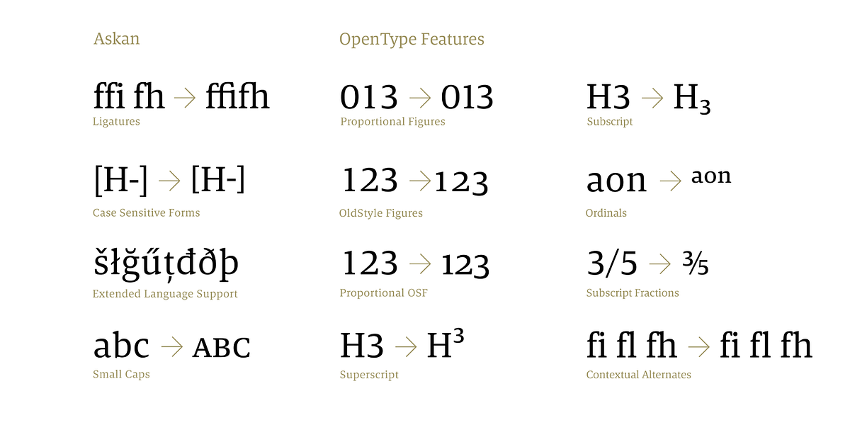 Askan, a Serif Font by Hoftype (Photo 11 of 14)