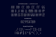 Zekonus - Modern Serif Font, a Serif Font by Iqsiart Studio (Thumbnail 6 of 8)