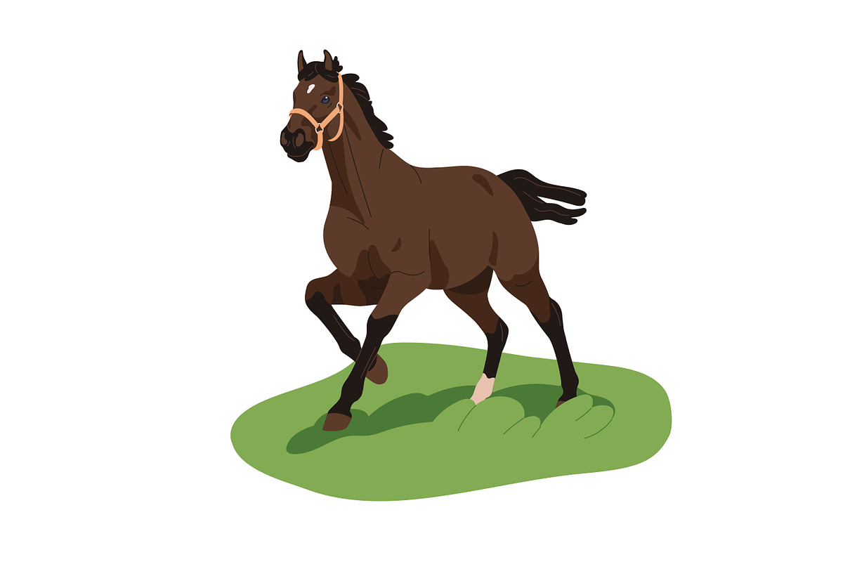 Horses, equine animals running set, an Animal Illustration by Good Studio (Photo 11 of 13)