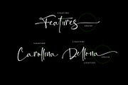 Bittersoni, a Script Font by Letterara (Thumbnail 8 of 11)