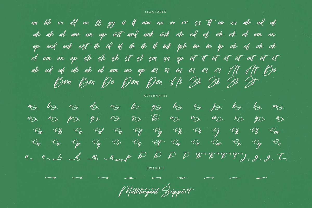 Bombyes Shigter Bold Brush Font, a Script Font by stylishtype.co (Photo 19 of 20)