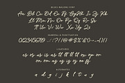 Blues Malone / Monoline Signature, a Script Font by Subectype Studio (Thumbnail 10 of 10)