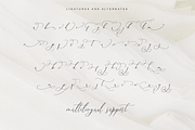 Wantemar - modern calligraphy font, a Script Font by Quothron (Thumbnail 5 of 9)