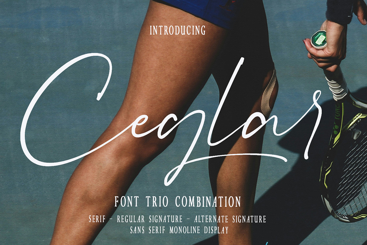 Ceglar, a Serif Font by Black Junst (Photo 4 of 35)