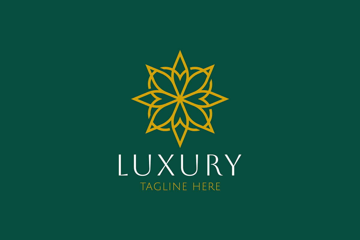 Luxury Floral Decorative Logo, a Branding & Logo Template by Signatoro (Photo 2 of 3)