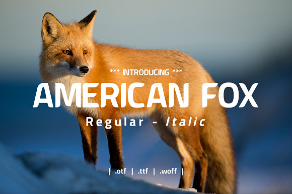 American Fox Font preview 8