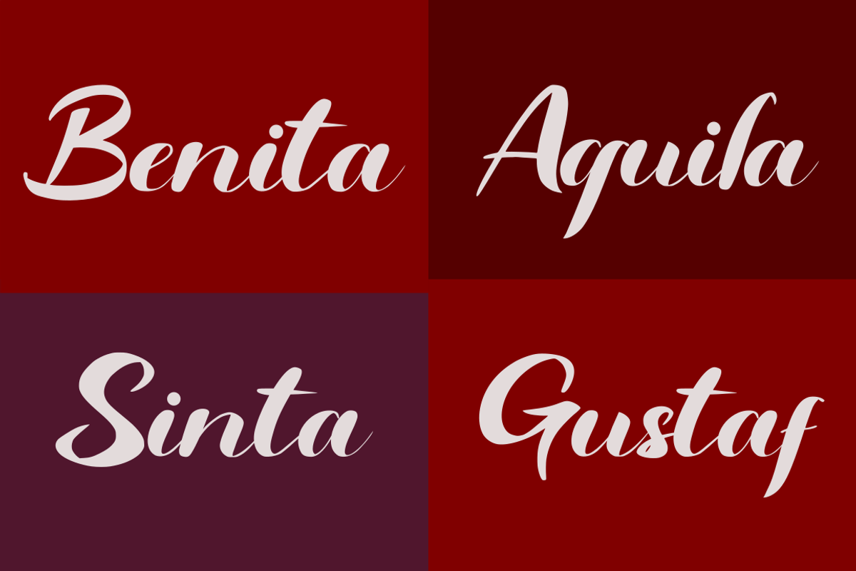 Rinjani a Bold Sript font, a Script Font by Basnistudio (Photo 3 of 6)