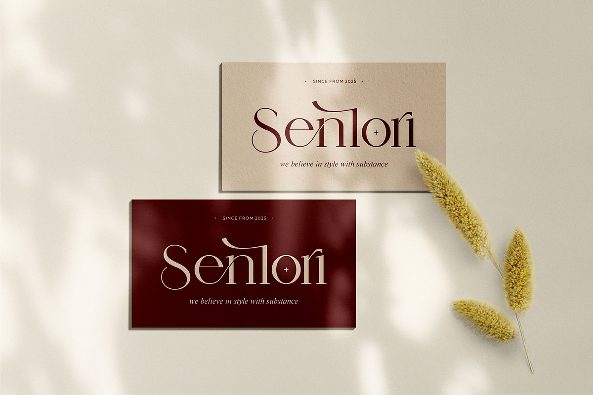 Modegi || Elegant Classy Serif Font, a Serif Font by Ermedia Studio (Photo 3 of 10)