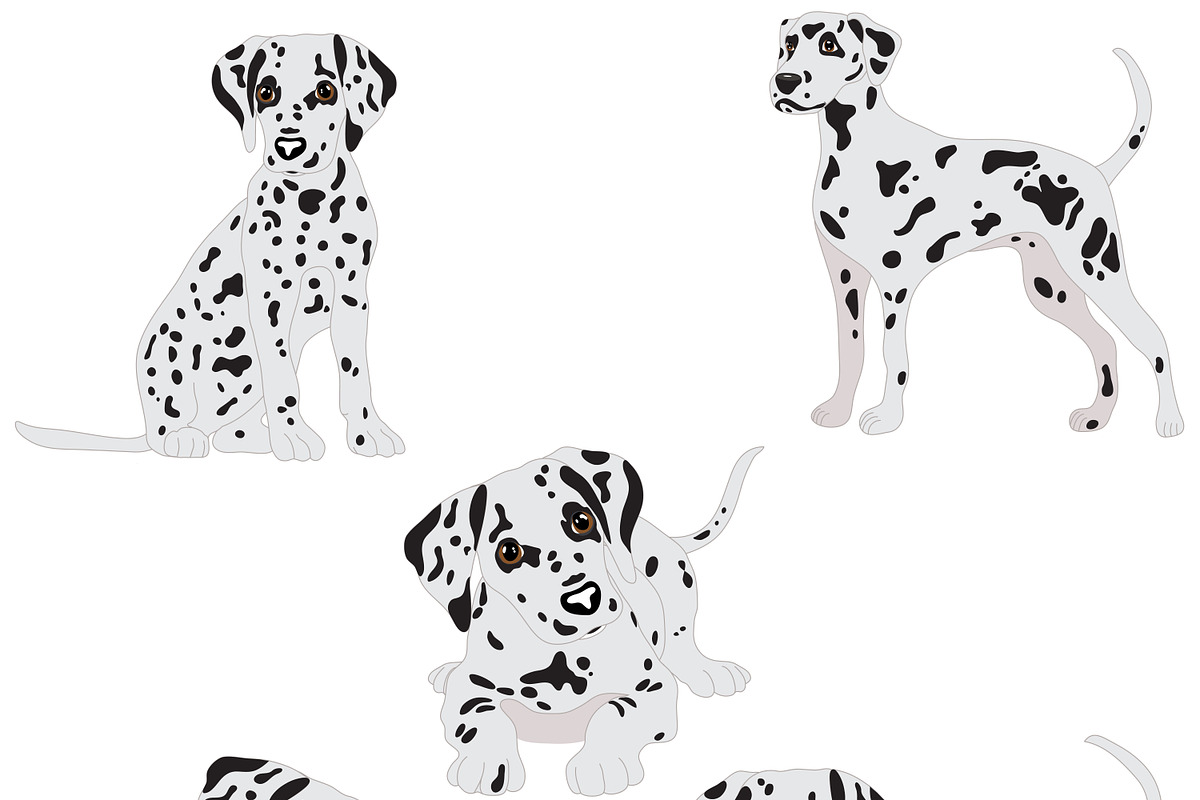 Dalmatian, an Animal Illustration by Orangepencil (Photo 5 of 7)