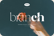Hello Branch 8 Font Family, a Serif Font by Sans & Sons (Thumbnail 1 of 12)