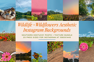 Wildflower Backgrounds for Instagram