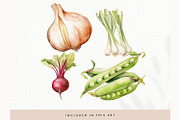 Watercolor Vegetables Clipart, Fresh, a Decorative Illustration by illuztrate (Thumbnail 9 of 9)