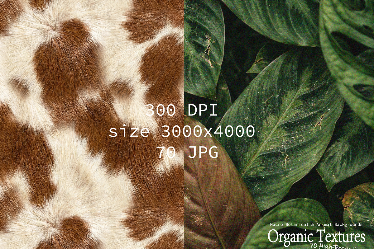 Organic Nature Backgrounds - 70 JPG, a Background Graphic by DreamoraArt