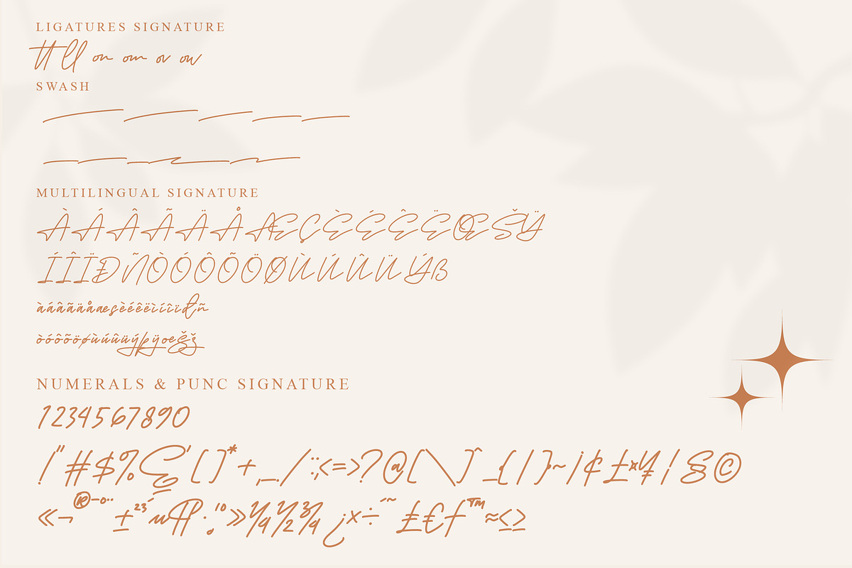 Megasta Signateria Font Duo Typeface, a Serif Font by Storytype Studio (Photo 14 of 15)