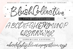 Blush Collective - 4 Fonts Extras!