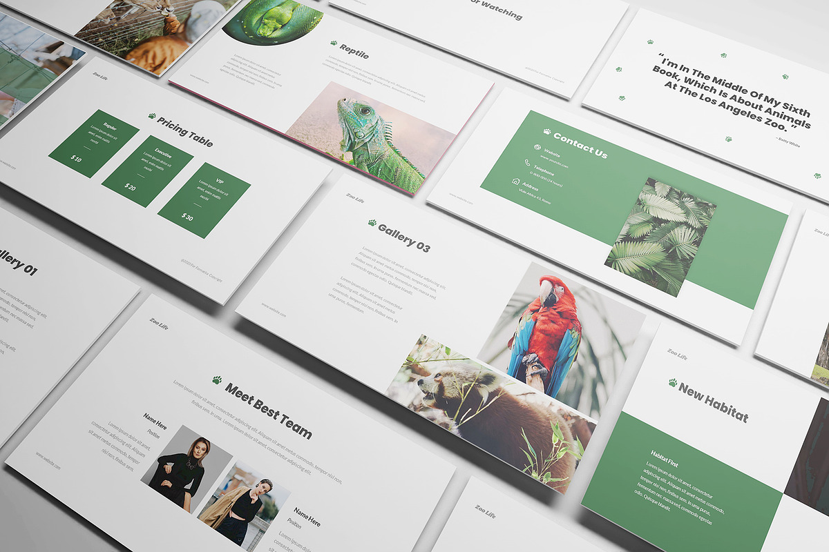 Zoo Powerpoint Template, a Presentation Template by Formatika Studio