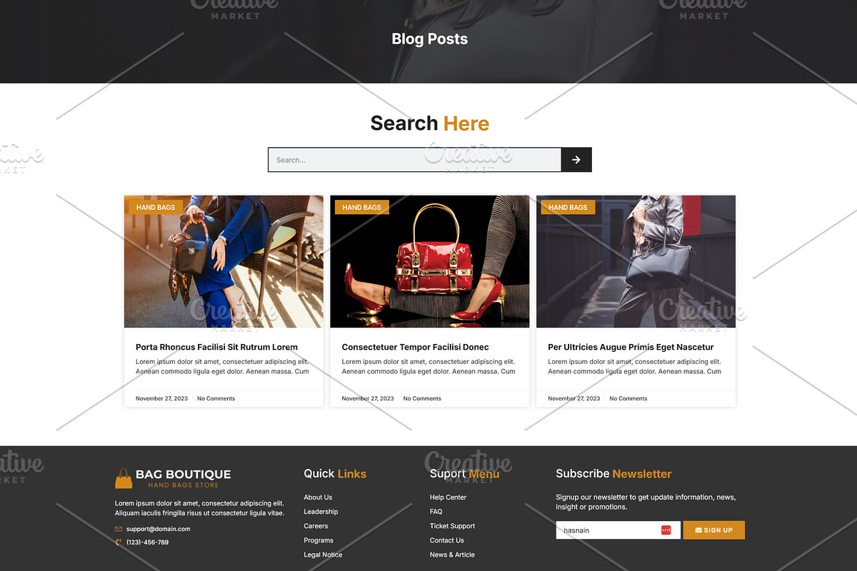 Luxury Hand Bags Selling Elementor, a WordPress Template by HasnainDEV (Photo 4 of 5)