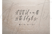 Augustin - Modern Signature Font, a Script Font by Flawless And Co (Thumbnail 10 of 10)