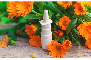 medicinal plant calendula homeopathy, a Beauty & Fashion Photo by yanadjana