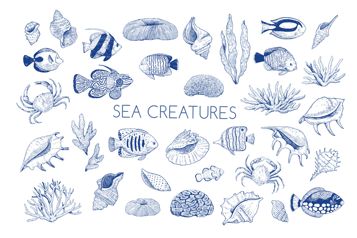 Coral gardens. Patterns collection, a Pattern Graphic by Robusta (Photo 12 of 16)
