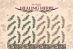 Healing Herbs Botanical Bundle