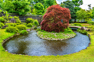 Traditional japanese garden kokoen in himeji containing japan, nature, and, a Nature Photo by Leonid Andronov
