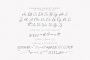 Charlie Script Font, a Script Font by Typebae (Thumbnail 8 of 10)