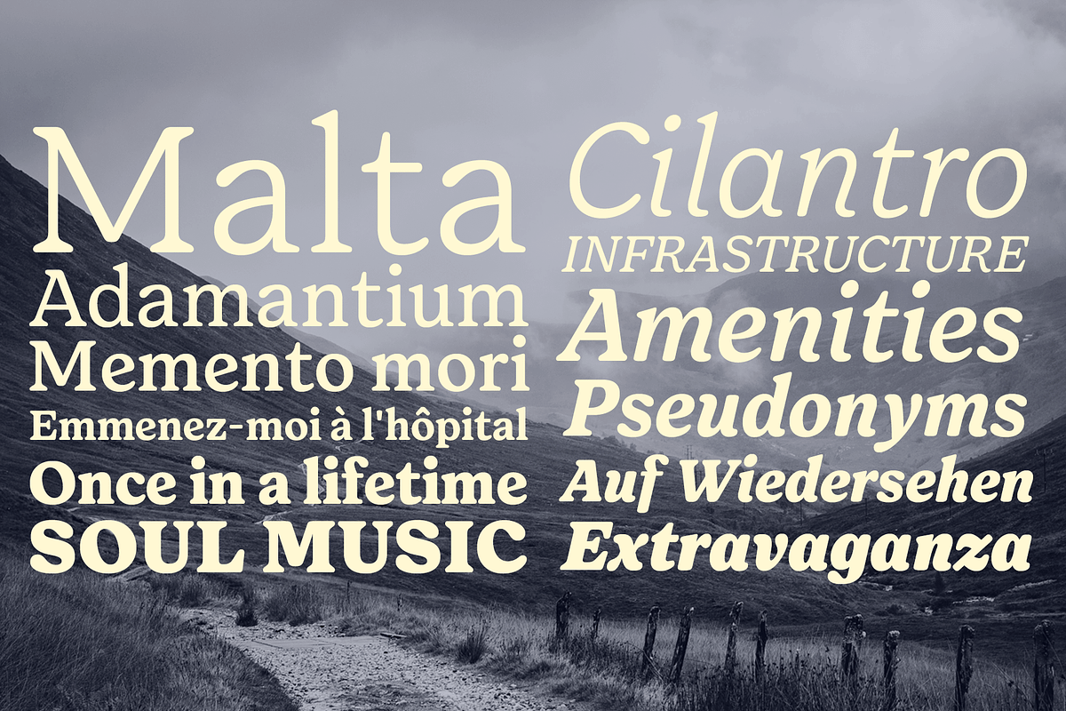 Forrest Friendly Serif Family, a Serif Font by Fenotype (Photo 9 of 12)