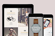 36 WordPress Themes - Mega Bundle, a WordPress Template by Visualmodo (Thumbnail 21 of 48)