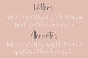 Amaro | Script + 6 Free Logos, a Script Font by Jen Wagner Co (Thumbnail 11 of 12)