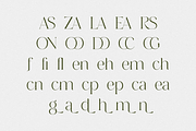 Versine Swoosh, a Serif Font by RockboyStd (Thumbnail 10 of 12)