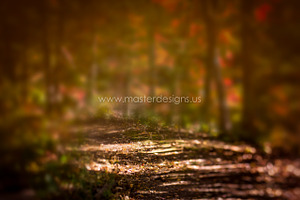 Fine Art Digital Texture/Background