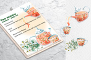 Chamomile watercolor clip art, a Decorative Illustration by SvetLana (Thumbnail 7 of 13)