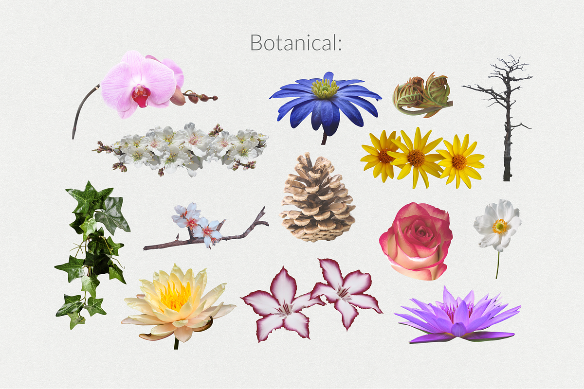 250+ Elements - Collage Creator Pack, an Object Graphic by Digi Life (Photo 14 of 32)