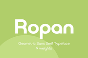 Ropan Font Family, a Sans Serif Font by Larin Type Co. (Thumbnail 1 of 10)