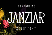 Janziar, a Serif Font by lelevien (Thumbnail 1 of 5)