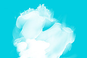 Hi-Res Water color PS Brush Set-3, a Brush Add-On by MRI STUDIO (Thumbnail 10 of 10)