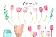 Tulip blossom. Watercolor clip art, an Illustration by Anyuka (Thumbnail 5 of 5)