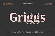 Griggs Variable Typeface, a Serif Font by Seniors